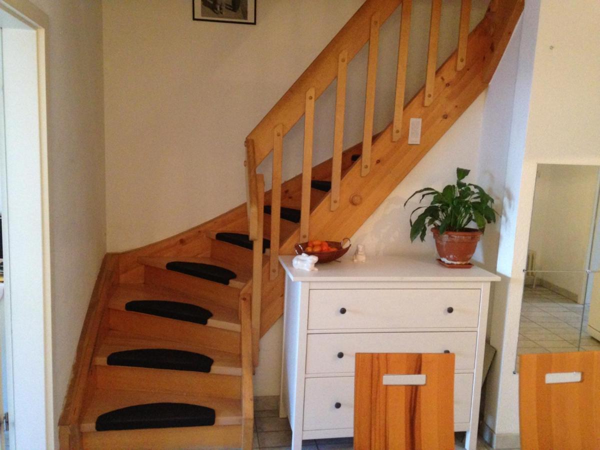 Haus Schoenwald Freiburg im Breisgau Eksteriør billede