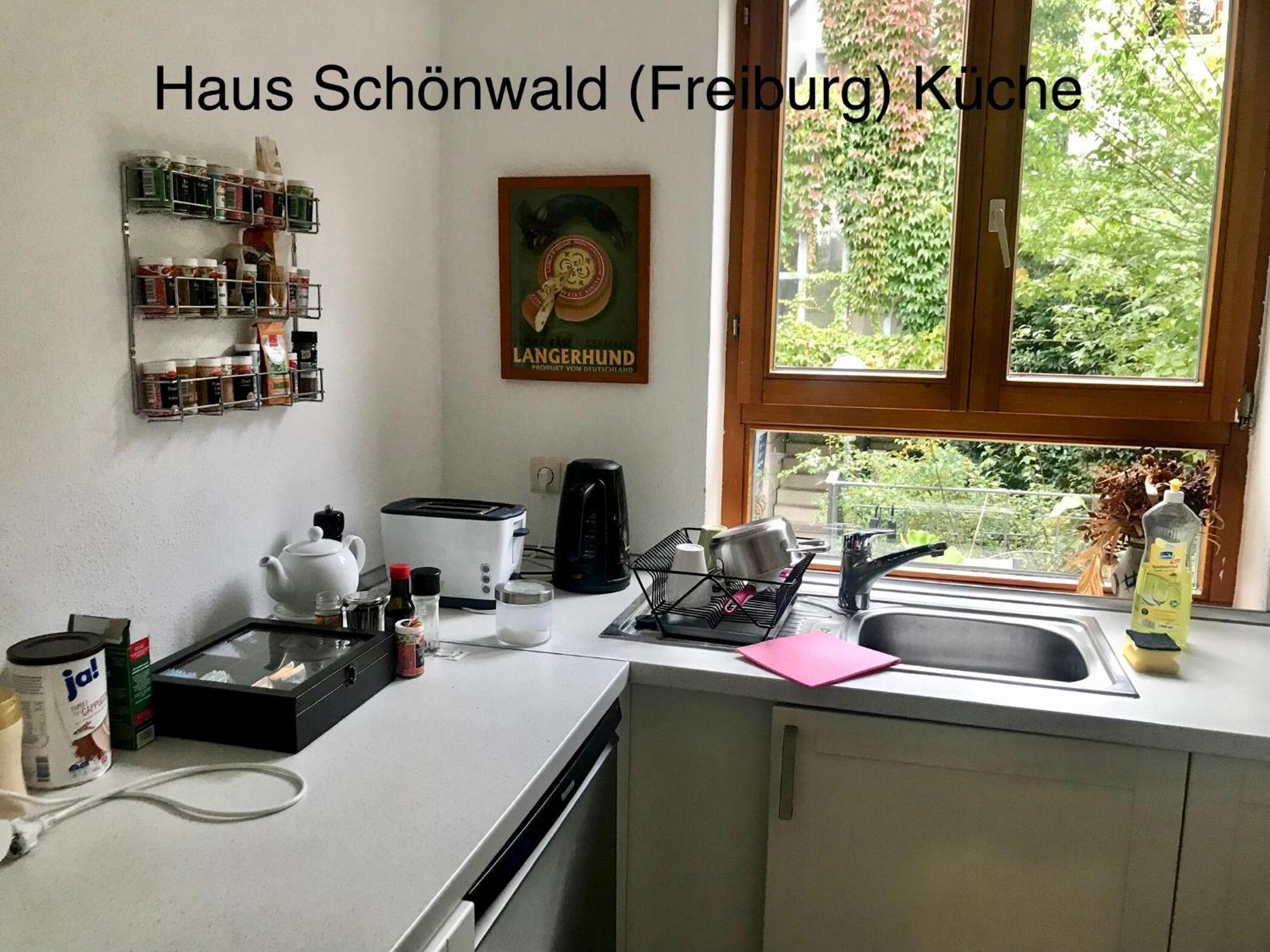 Haus Schoenwald Freiburg im Breisgau Eksteriør billede