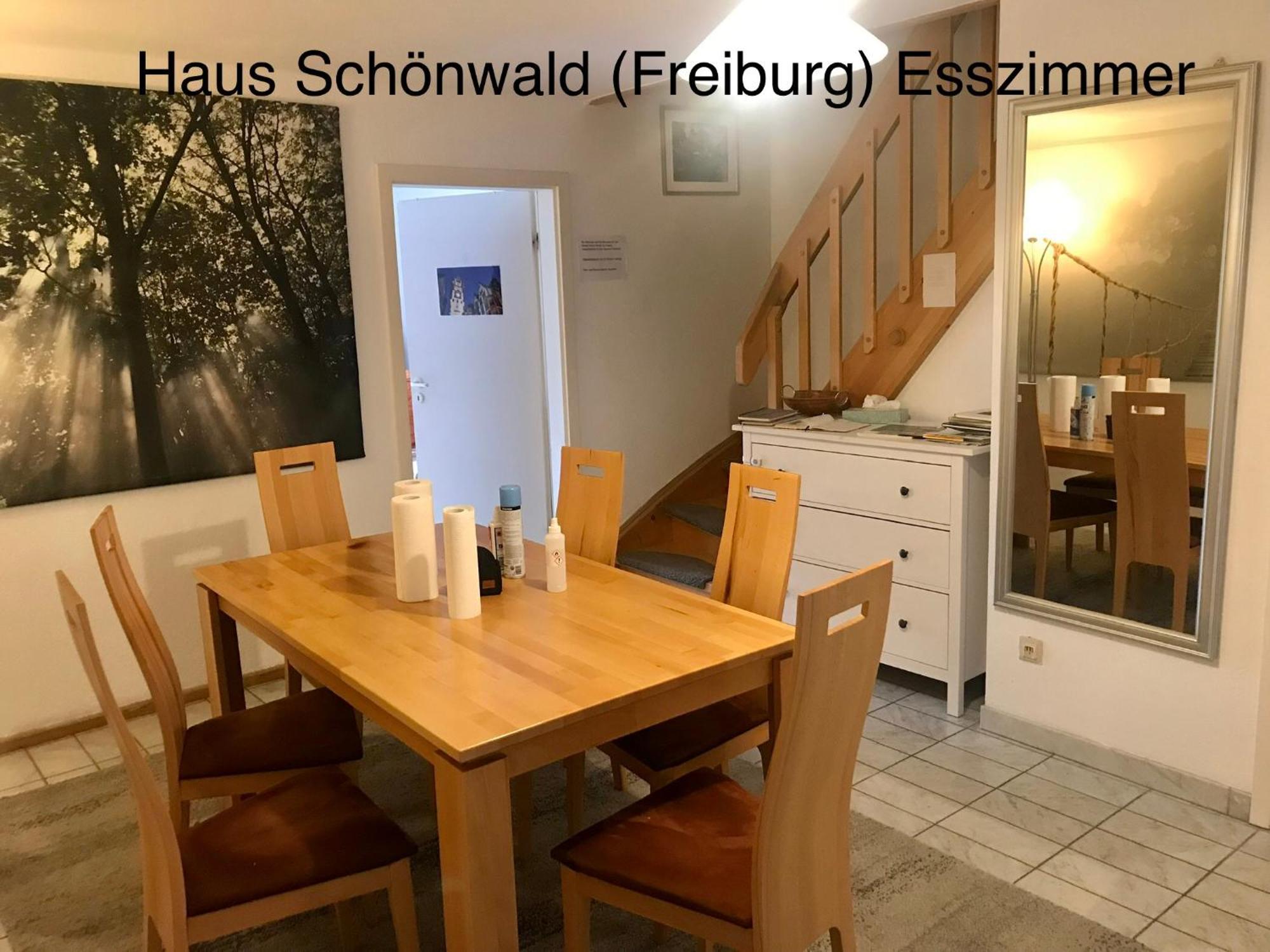Haus Schoenwald Freiburg im Breisgau Eksteriør billede