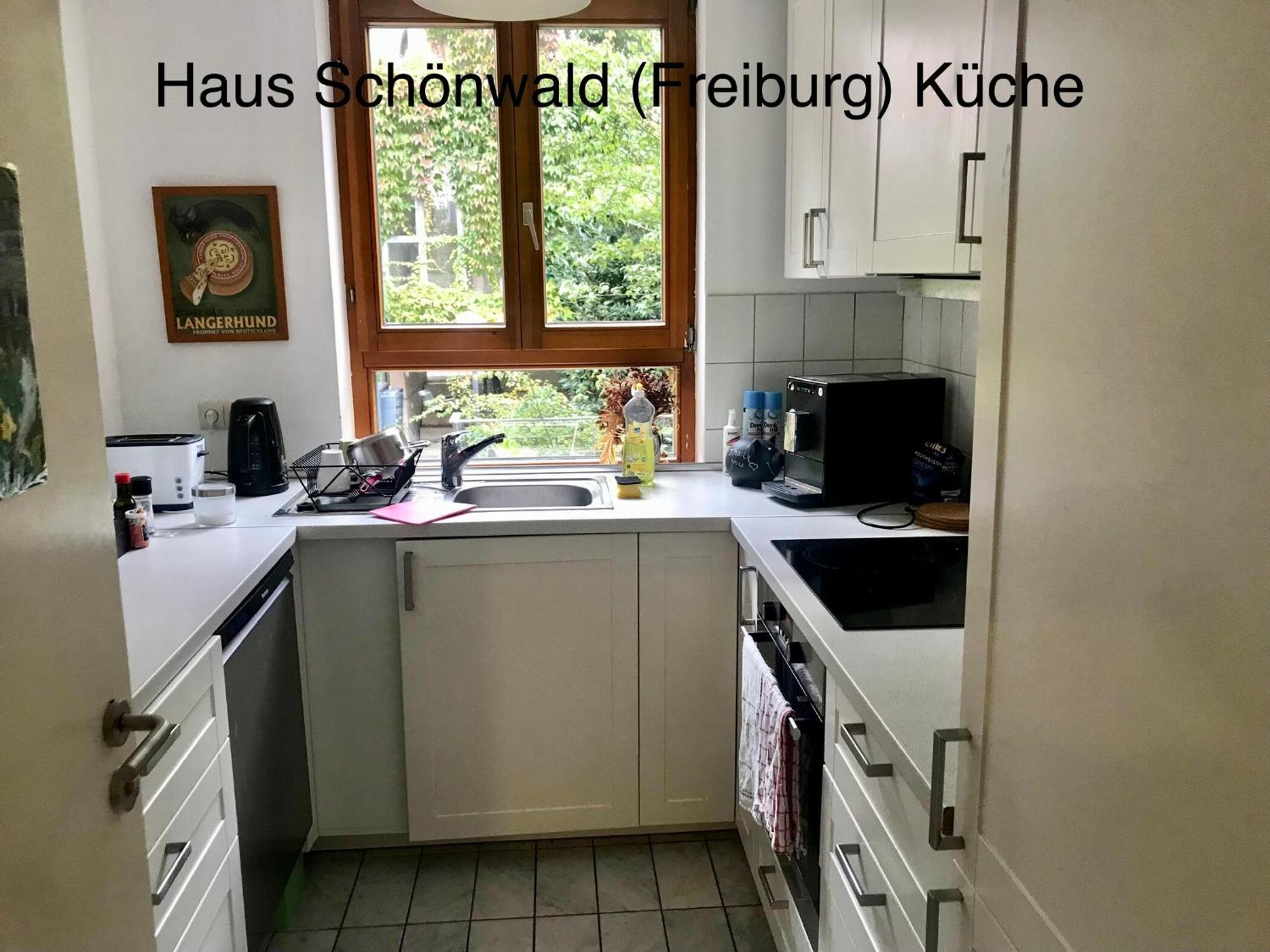 Haus Schoenwald Freiburg im Breisgau Eksteriør billede